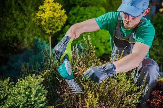 landscaping services Bogalusa